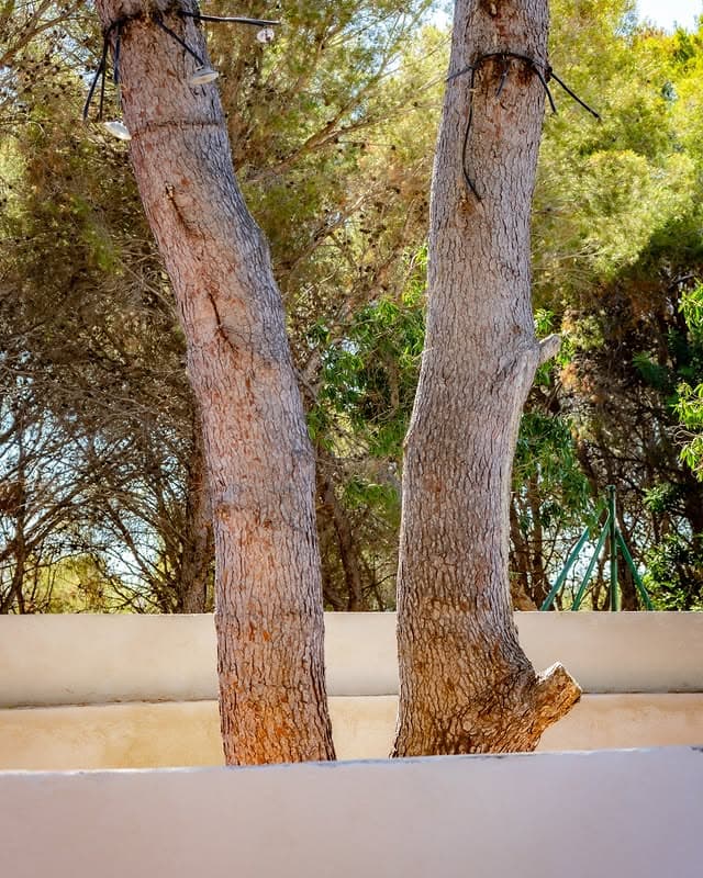 ARQVS · Roda de Berà